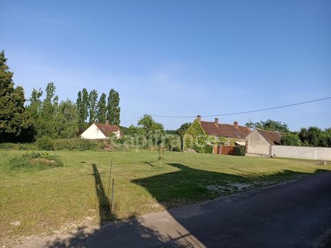 photo no. 2