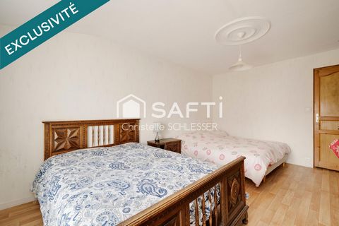 photo no. 11