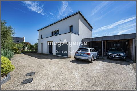photo no. 16