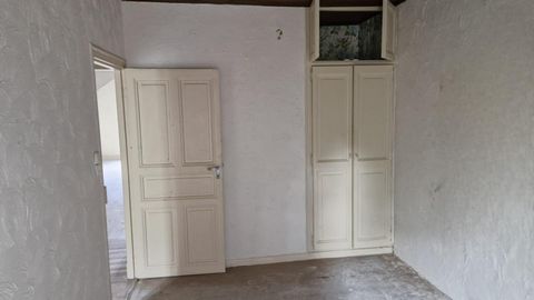 photo no. 9