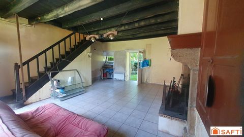 photo no. 2