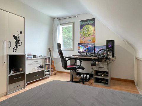 photo no. 11