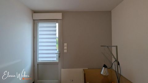 photo no. 5