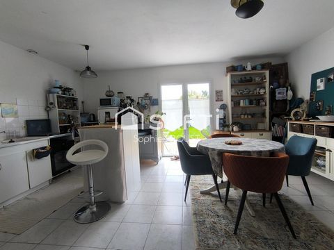 photo no. 3