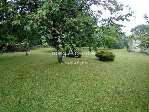 photo no. 5