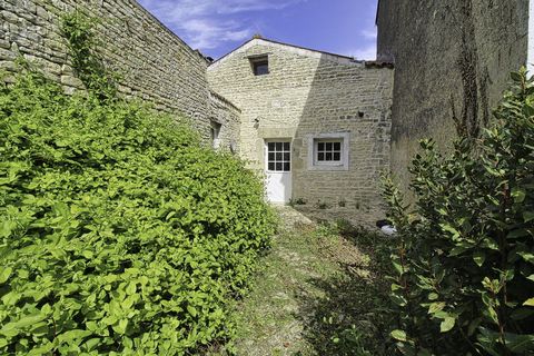 photo no. 8