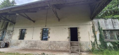 photo no. 7