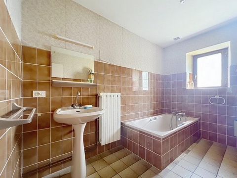 photo no. 11