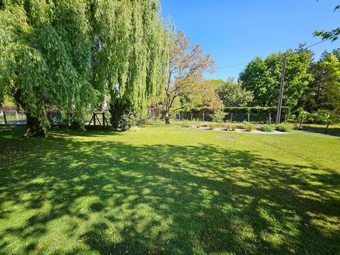 photo no. 13