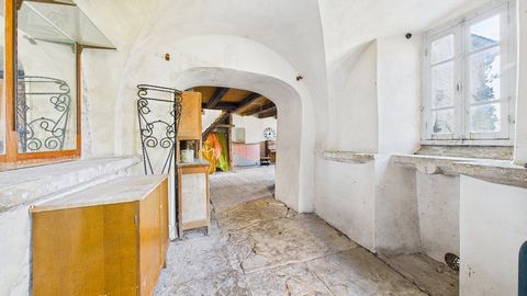 photo no. 5