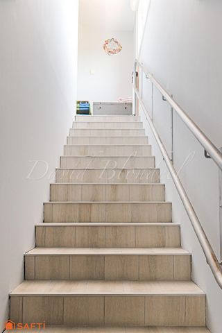 photo no. 12