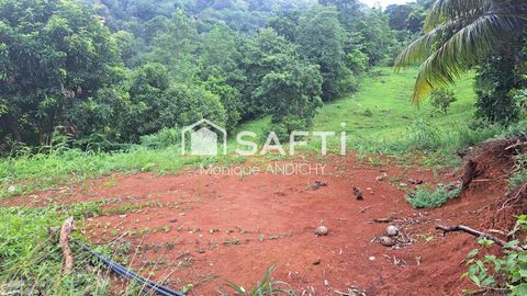 Terrain plat à batîr