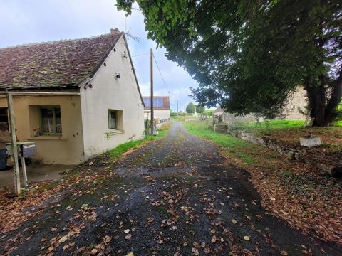 photo no. 10