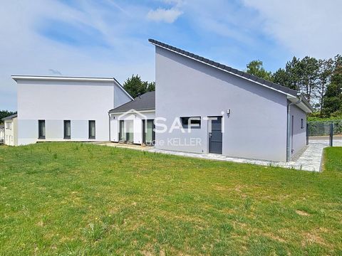 photo no. 10