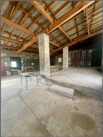 photo no. 3