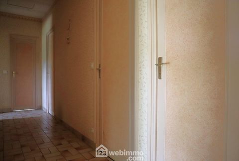 photo no. 11