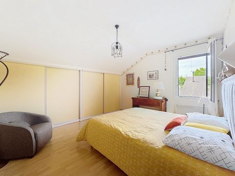 photo no. 7
