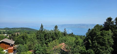 EXCLUSIVITE - Appartement entièrement rénové à vendre - 2 pièces - THOLLON LES MEMISES (74)