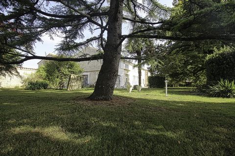photo no. 21