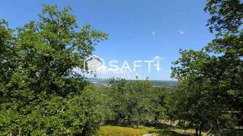 photo no. 14
