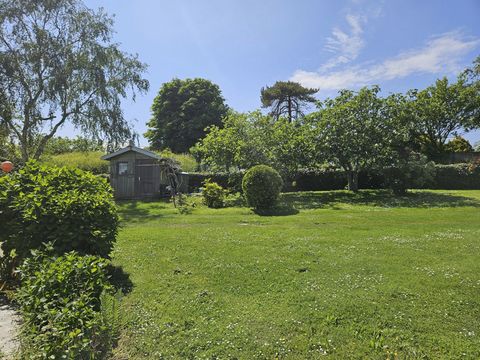 photo no. 2