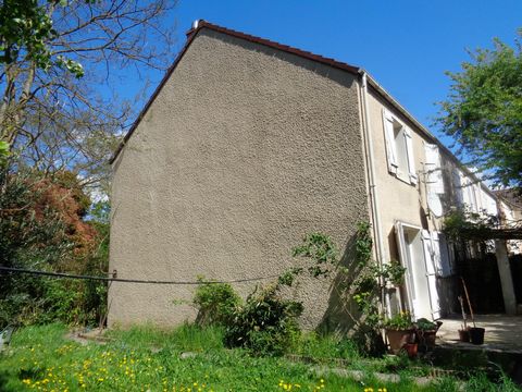 photo no. 11