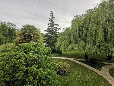 photo no. 9
