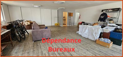 photo no. 10