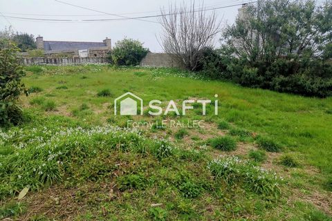 photo no. 13