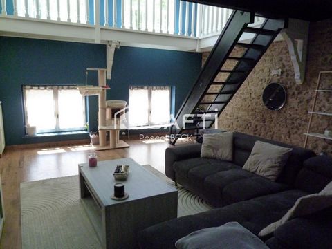 photo no. 5