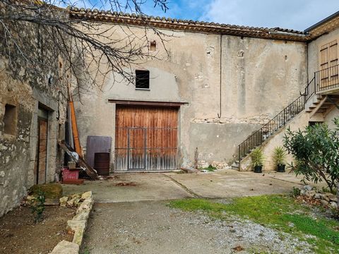 photo no. 4