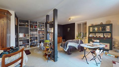 photo no. 11