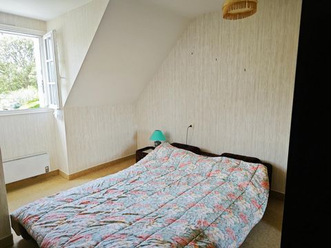 photo no. 6