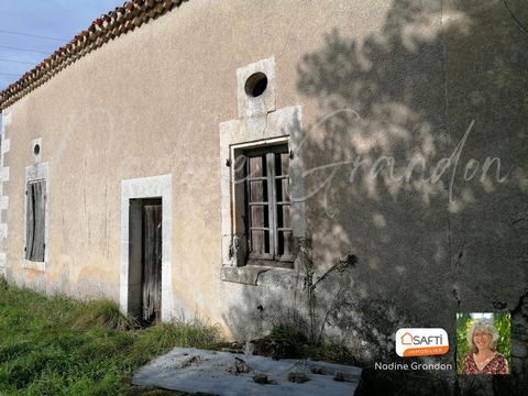 photo no. 2