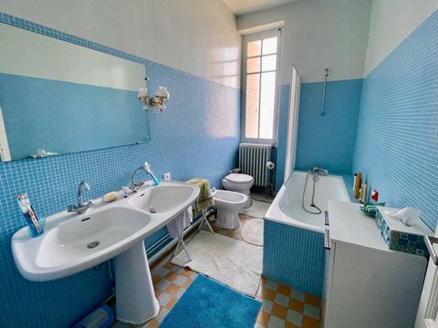 photo no. 12