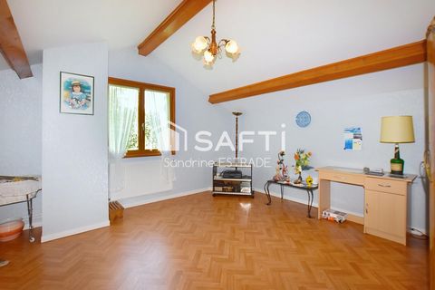 photo no. 11
