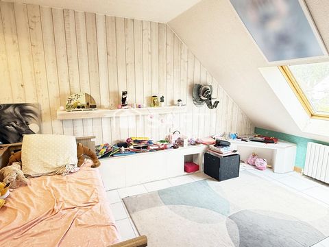 photo no. 11