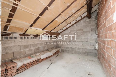 photo no. 13