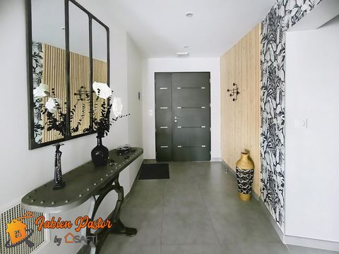 photo no. 8