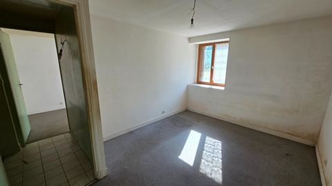 photo no. 6