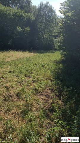 photo no. 12