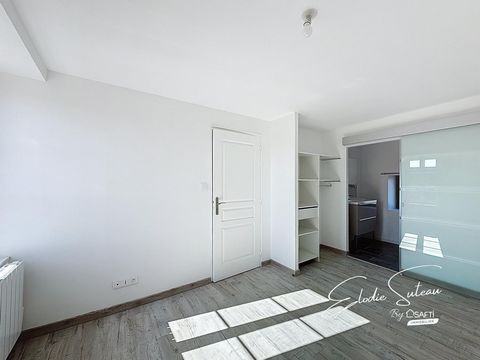photo no. 7