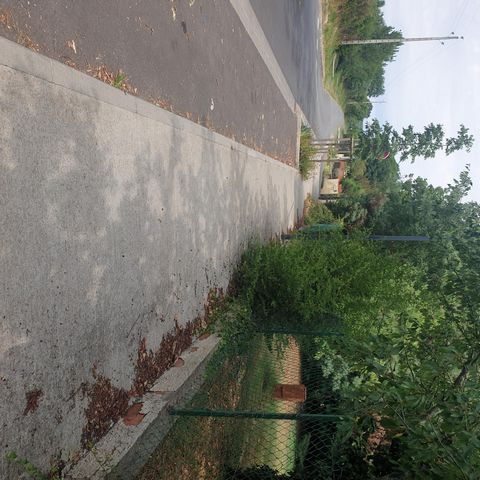 photo no. 2