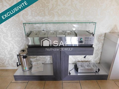 photo no. 11