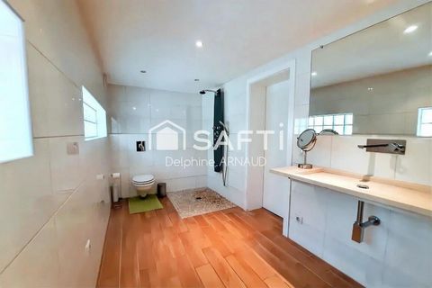 photo no. 11
