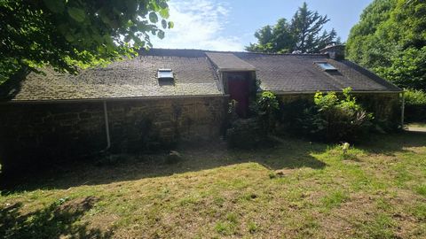 photo no. 12