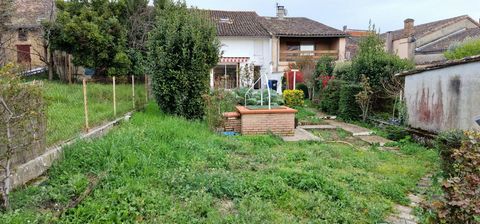 photo no. 11