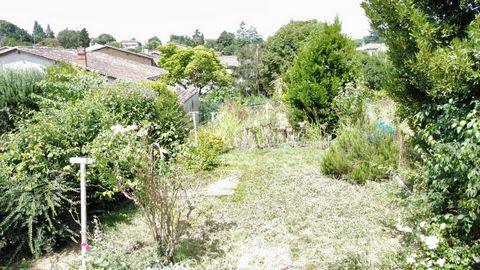 photo no. 13