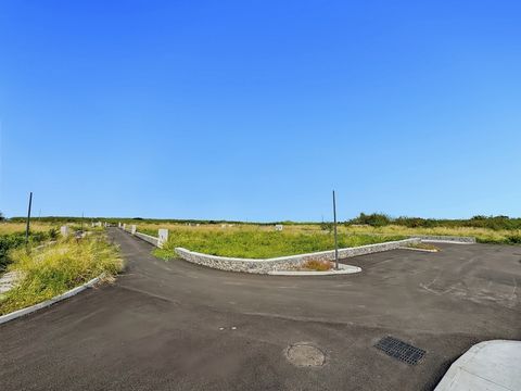 photo no. 2