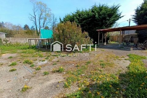 photo no. 18